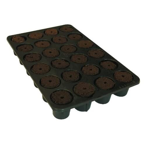 Root!T 12-550-100 24-Cell Filled Trays 2
