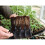 Haxnicks 12 cm Rootrainers Set (Pack of 2) 2