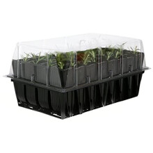 Haxnicks 12 cm Rootrainers Set (Pack of 2)