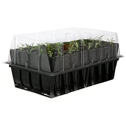 Haxnicks 12 cm Rootrainers Set (Pack of 2)