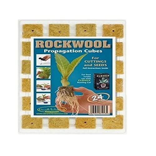 24 ROCKWOOL Propagation Cubes