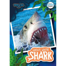 Teeth to Tail of a Great White Shark - Robin Twiddy - book