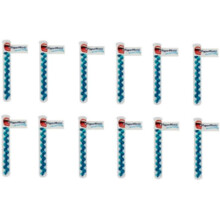 PaperMints Cool caps breath refreshers 12 x tubes of 18 capsules BULK BUY