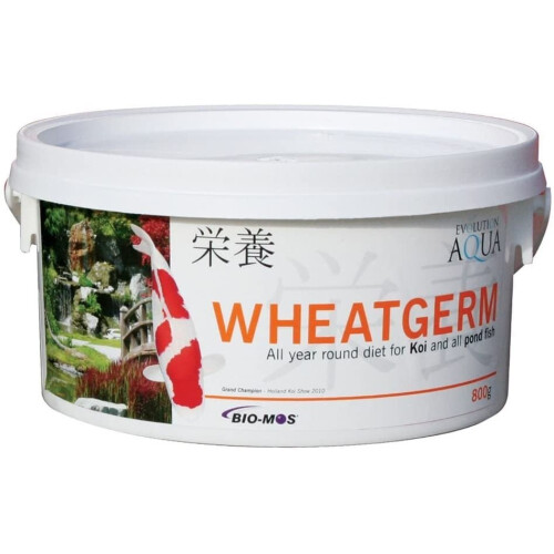 Evolution Aqua Evolution Aqua Wheatgerm - 800 Gms - Medium Pellet - 5-6Mm