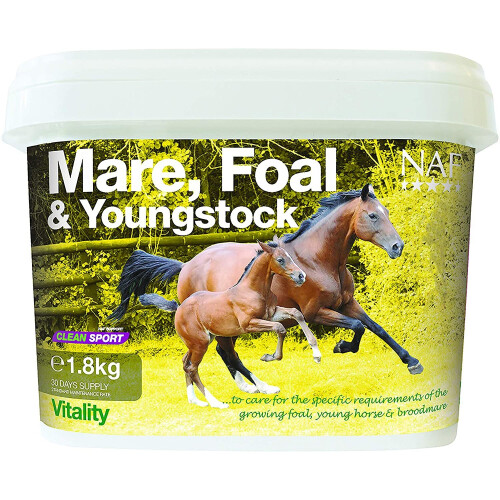 NAF Mare, Foal & Youngstock