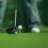 Callaway Par-Tee Plastic Golf Tees Assorted Pakke med 4 2
