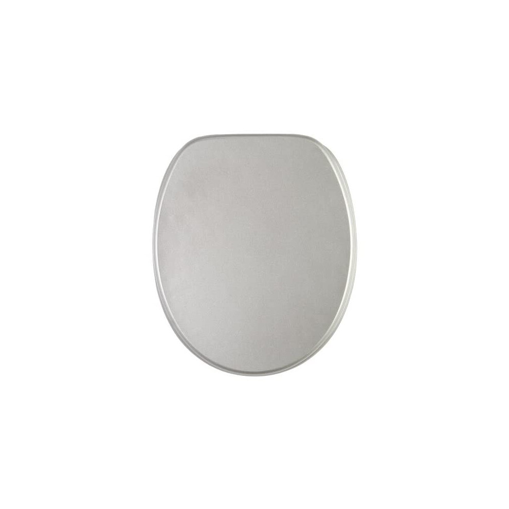 Toilet Seat | High-Quality Surface | Stable Hinges | Easy To Mount | Glittering Silver 820103642811