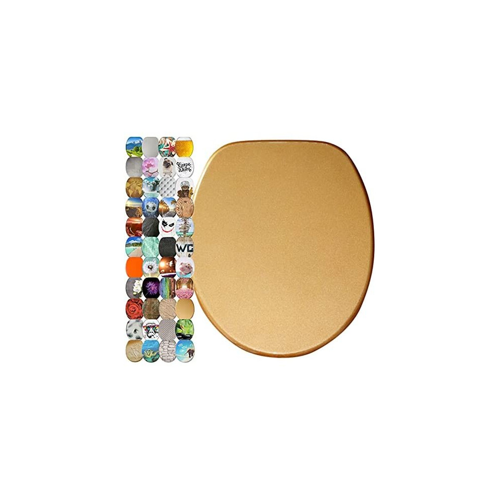 Sanilo Soft Close Toilet Seat Glittering Gold