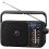 Panasonic Radio FM/AM - PANASONIC - RF-2400DEG-K - Analógico 1
