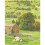 Yorkshire Tea Yorkshire Tea Decaf, 80 Tea Bags 7