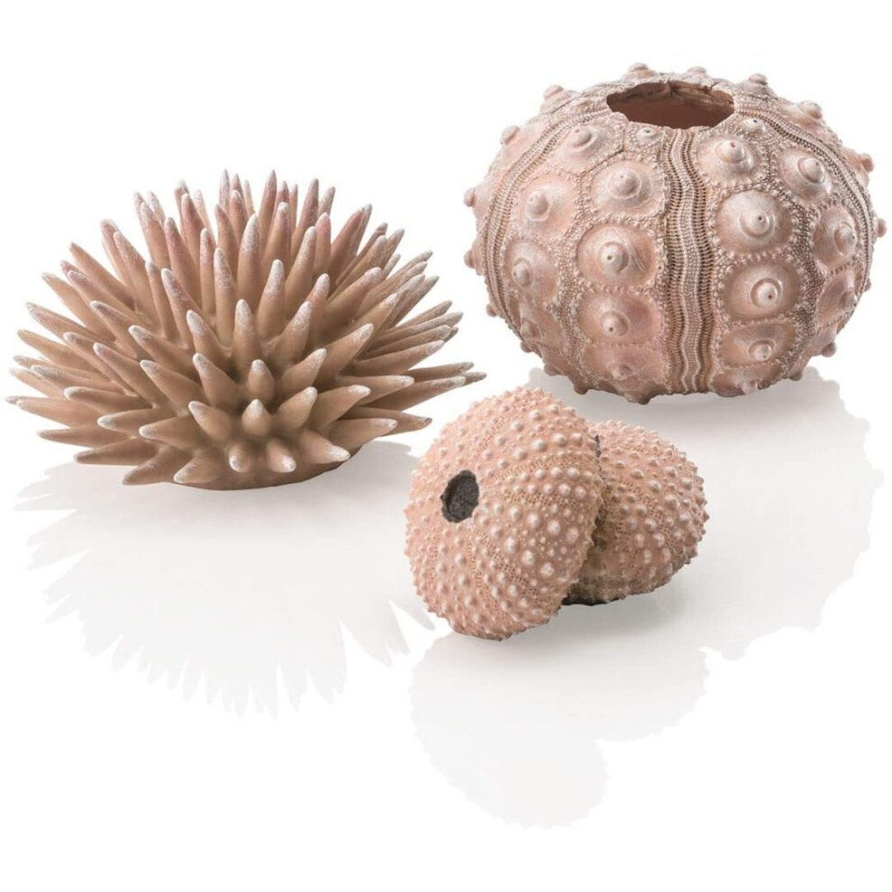 biOrb Sea urchins Set, Natural