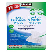 Kirkland Signature Moist Flushable Wipes 10 x 60 Pre-moistened Wipes for the Entire Family