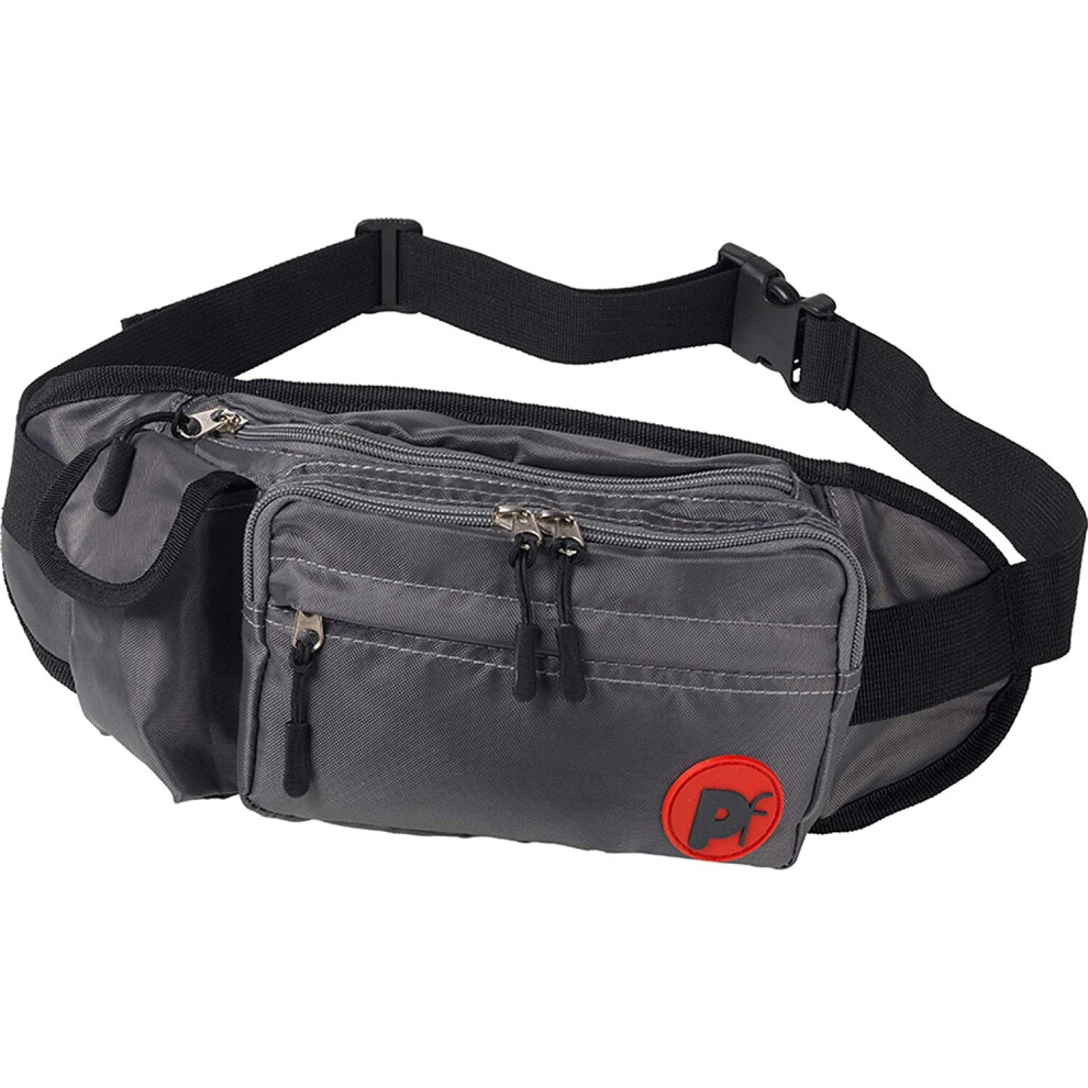 Outdoor Paws by Petface Dog Walkers Bum Bag