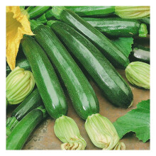 Unwins Grow Your Own Vegetables Courgette 'Firenze' F1 Hybrid Seeds