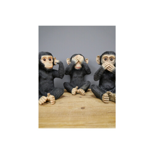 Hear No Evil See No Evil Speak No Evil Monkeys | Set of 3 1
