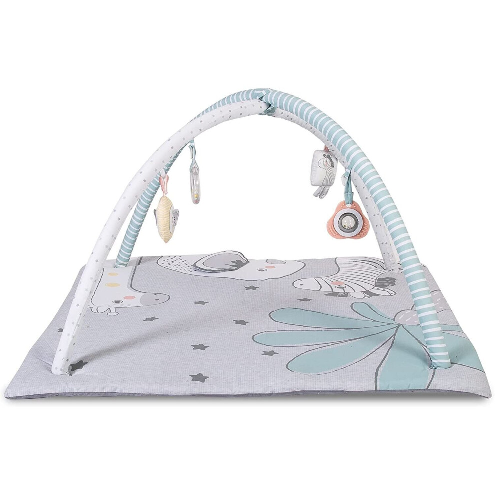 Red Kite Play Gym Tree Tops - Soft Padded Play Gym with Detachable Play Arch & Activity Toys