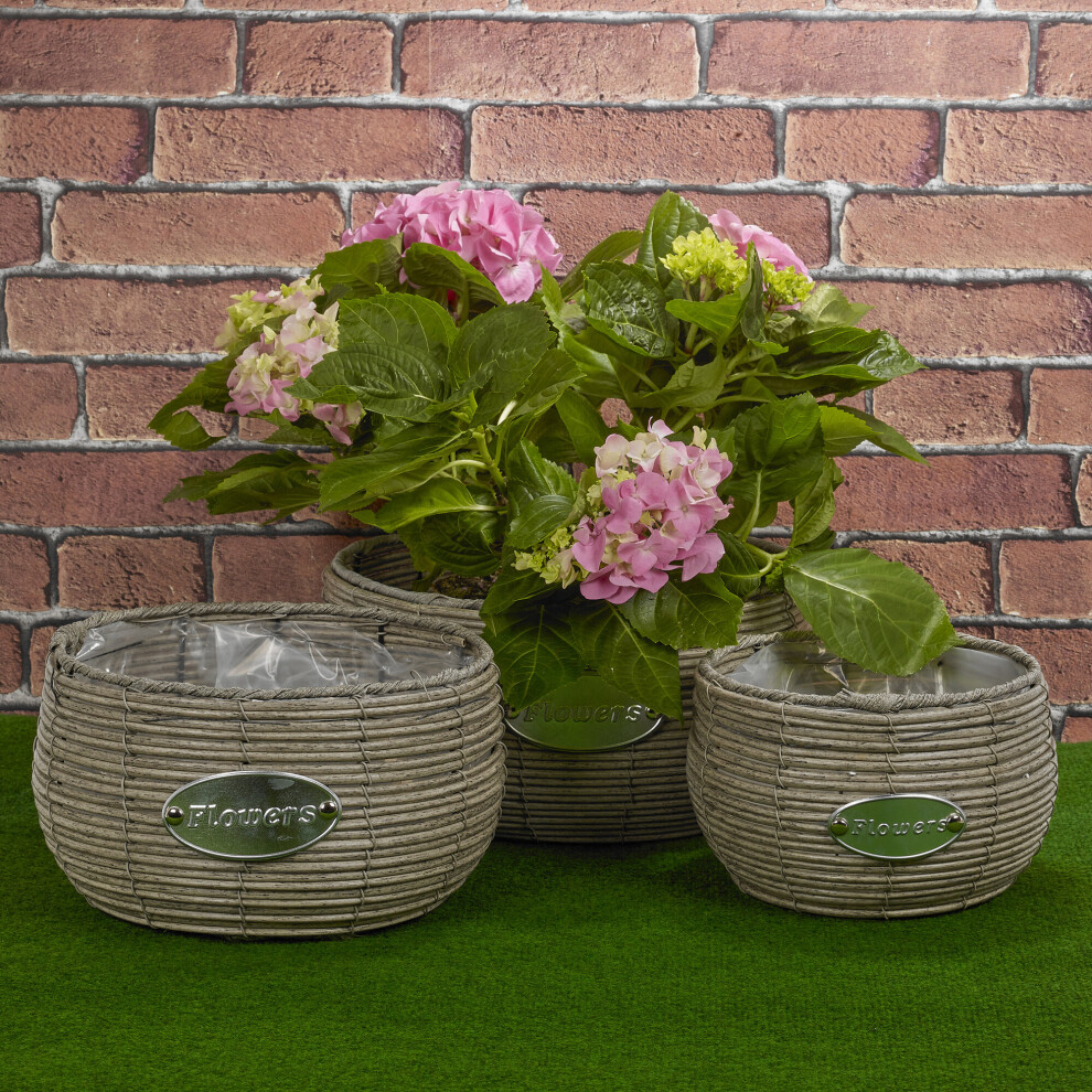 (Short, Taupe) 3 Pc Rattan Design Flower Plant Pot Planter Basket