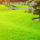 Pro-Kleen (4 x 2.5KG) ProKleen Spring and Autumn Lawn Feed 8