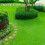 Pro-Kleen (2 x 2.5KG) ProKleen Spring and Autumn Lawn Feed 4