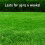 Pro-Kleen (4 x 2.5KG) ProKleen Spring and Autumn Lawn Feed 7