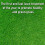 Pro-Kleen (4 x 2.5KG) ProKleen Spring and Autumn Lawn Feed 2