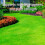 Pro-Kleen (2 x 2.5KG) ProKleen Spring and Autumn Lawn Feed 5