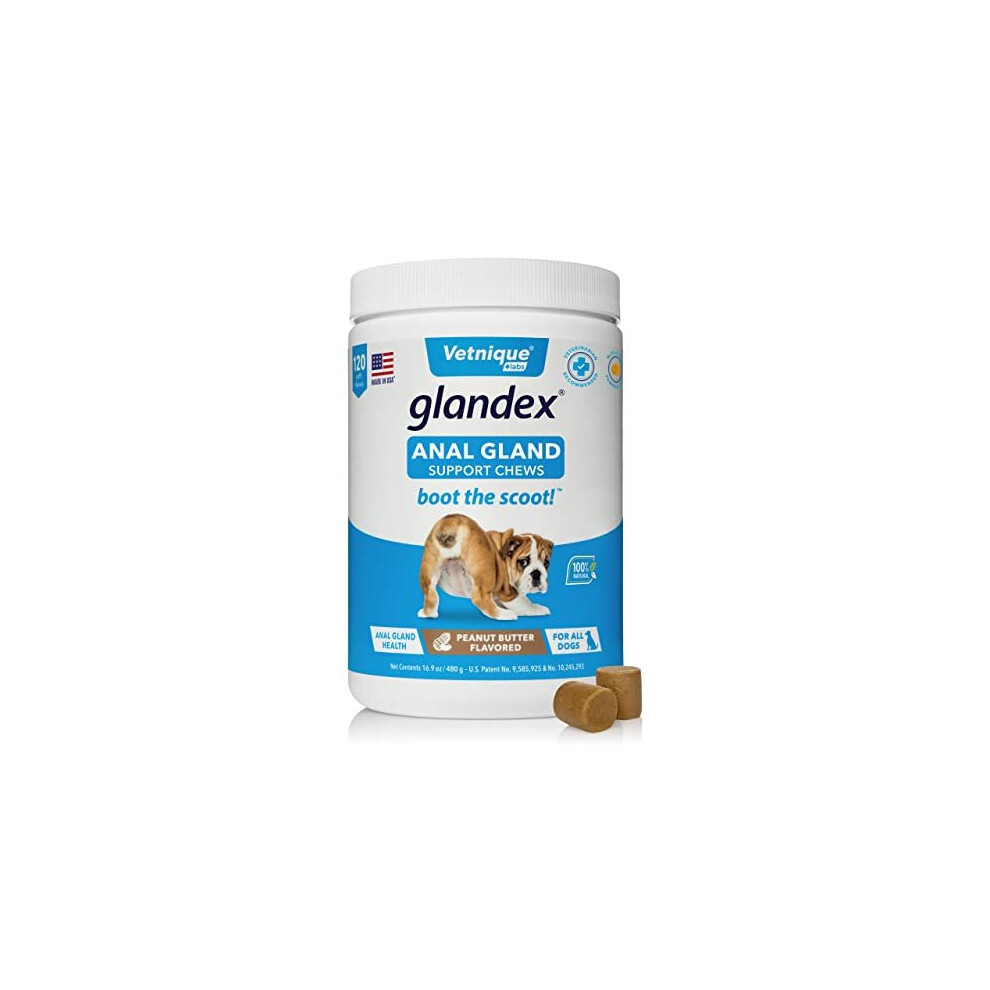 Glandex Fibre Supplements Dog Chews Treat With Pumpkin for Dogs, Digestive Enzyme & Probiotic â Vet Recommended - Boot the Scoot 120 Peanut Butter