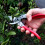 ARS ARS-VS-8XZ 8-inch Secateurs with Single Hand Locking Secateurs with Single Hand Locking 3