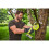 Ryobi Ryobi RY18PSA-0 18V ONE+ Cordless 150mm Pruning Saw (Bare Tool), 18 V 4