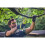 Ryobi Ryobi RY18PSA-0 18V ONE+ Cordless 150mm Pruning Saw (Bare Tool), 18 V 5