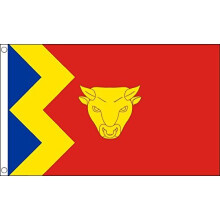 AZ FLAG Birmingham City Flag 3' x 5' - Birmingham flags 90 x 150 cm - Banner 3x5 ft