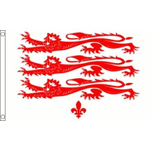 AZ FLAG Dorset Old county Flag 3' x 5' - County of Dorset - England flags 90 x 150 cm - Banner 3x5 ft