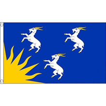 AZ FLAG Merionethshire county Flag 3' x 5' - Wales Merionethshire county flags 90 x 150 cm - Banner 3x5 ft