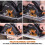 Evolution Power Tools R185CCSX Multi-Material Circular Saw and Track (Combination Pack), 1600 W, 110 V-Site Use 6