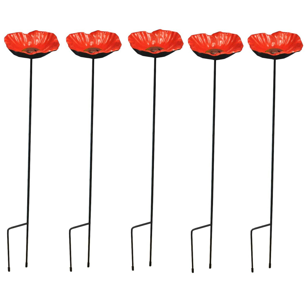 Selections Wild Bird Poppy Dish Feeders (Pack Of 5)