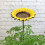 Selections Cast Iron Wild Bird Sunflower Dish Bird Feeder 6