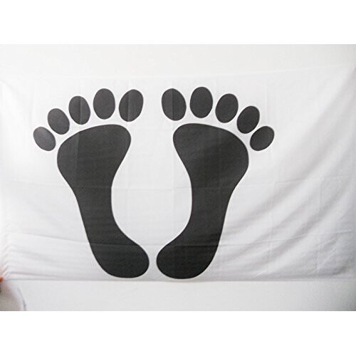 Acheter AZ FLAG Drapeau Français D'Algérie 45x30cm PAVILLON Des Pieds Noirs 30 X 45 Cm Haute Qualité ? Comparer Chez