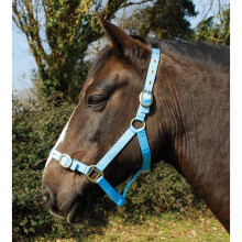 Rhinegold Nylon Headcollar -X Full - Baby Blue