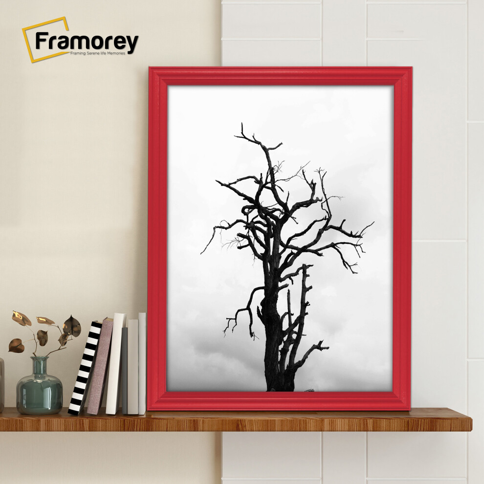 (A5- 210X148MM) Red Picture Frame / LW Style Wall Art Frame / Modern Photo Frames