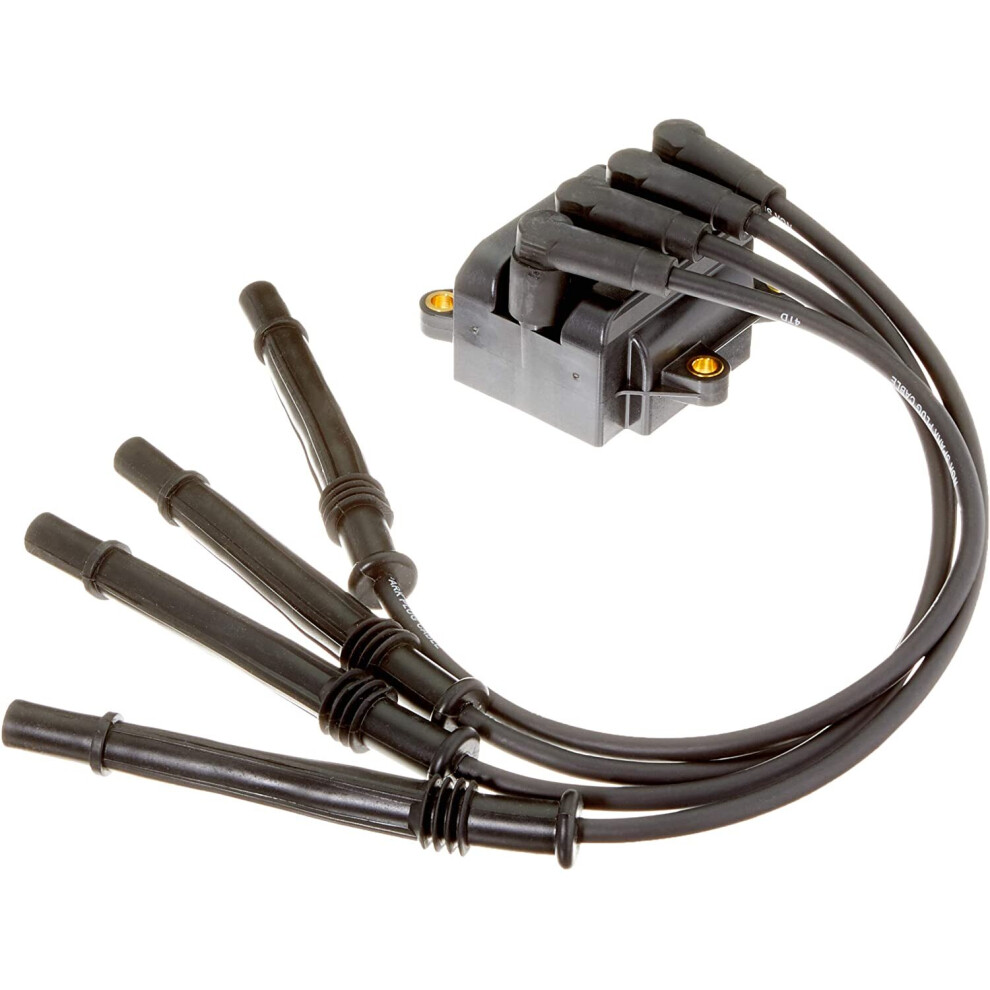 NGK 49075 Ignition and Heating System