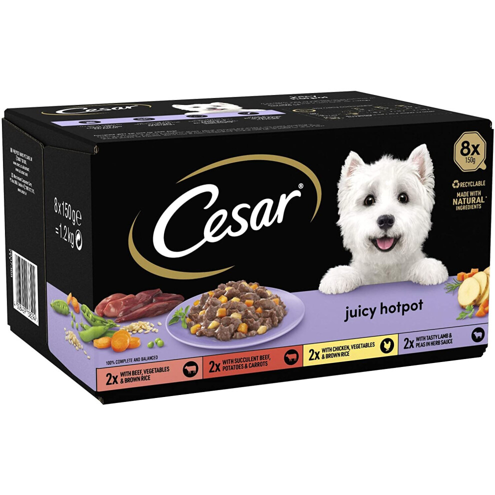 Cesar Juicy Hotpot - Wet Dog Food for Adult Dogs 1+ Mixed Selection, 24 Trays (24 x 150 g)