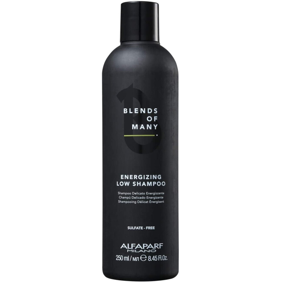 Alfaparf Blends Of Many Energizing Low Shampoo 250Ml