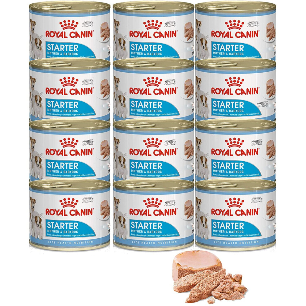 Royal Canin Starter Mousse Mother & Babydog - 12 X 195G