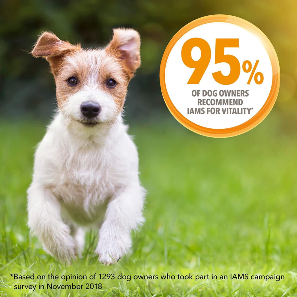 iams for vitality puppy