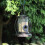 Kingfisher Kingfisher Mini Lantern Seed Feeder 2
