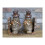 Pair of Detailed Steampunk Gold Owl Bookends | Book Worm Birthday Gift 3