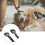 (Blue) Pet Grooming Tool - Double Side Dematting Comb Remove Undercoat Mats Tangles Shedding Brushes 11