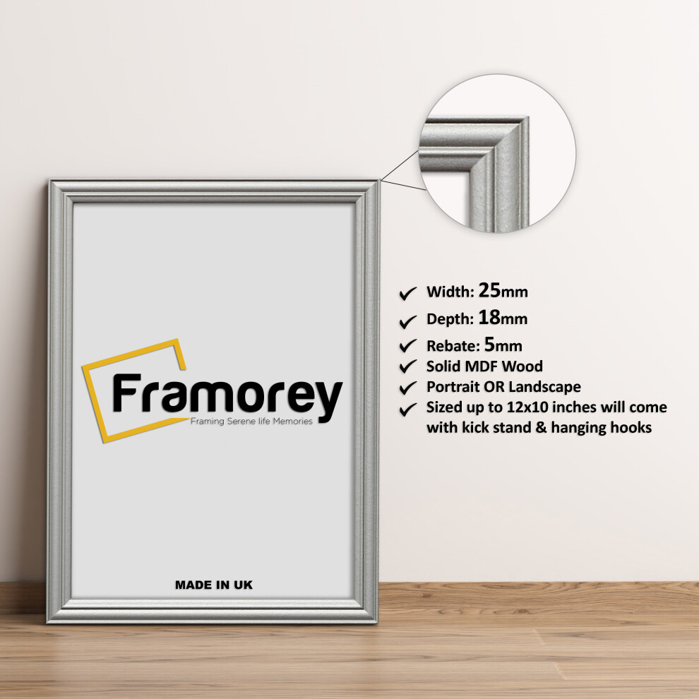 (70x50 CM) Silver Picture Frame / LW Style Wall Art Frame / Modern Photo Frames