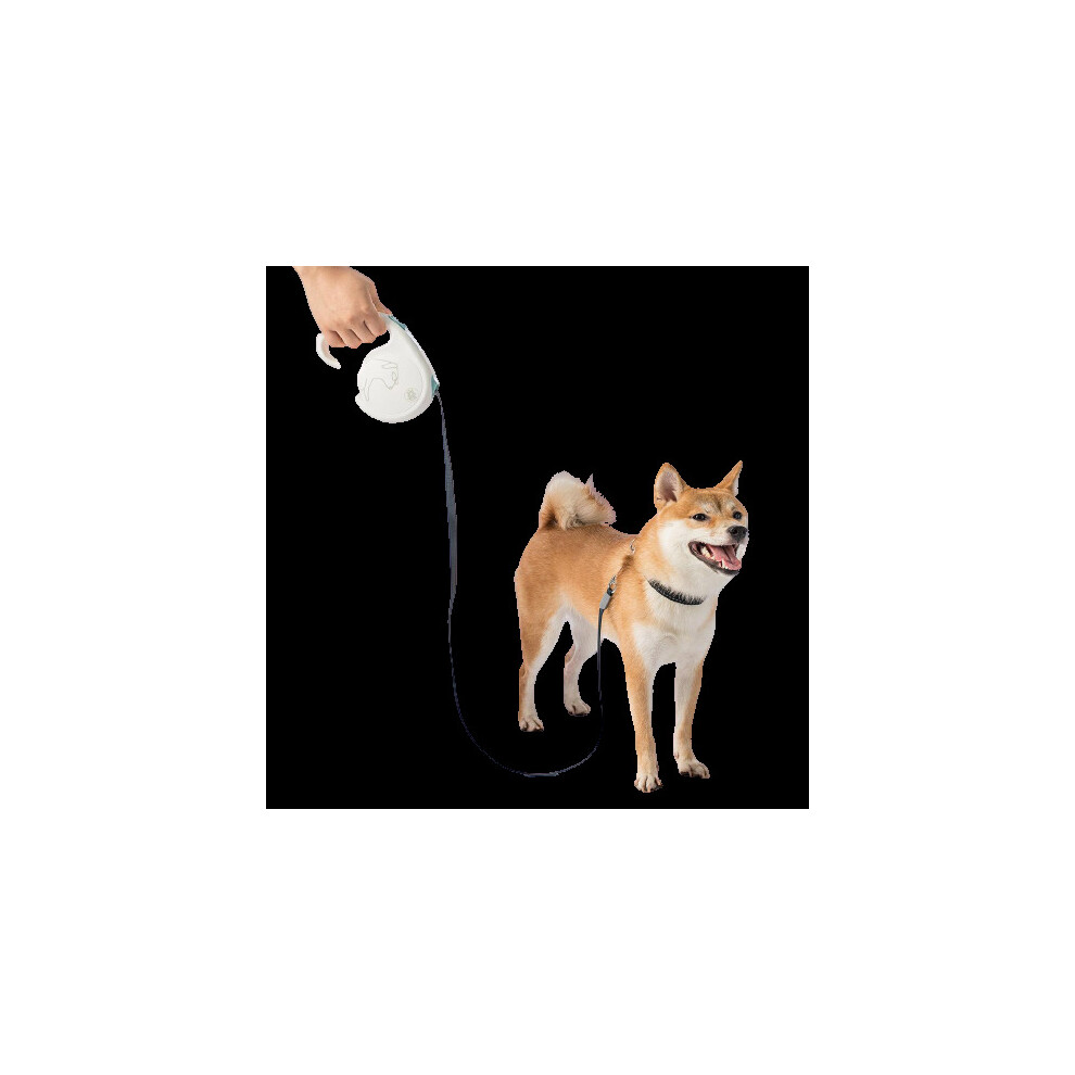 Pet Telescopic Traction Rope Security Lock Tensile Travel Leash