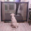 Dog Magic Gate Mesh Safety Separation Guard Folding Fences 7